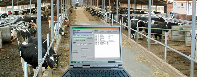 Dairy Plan C21