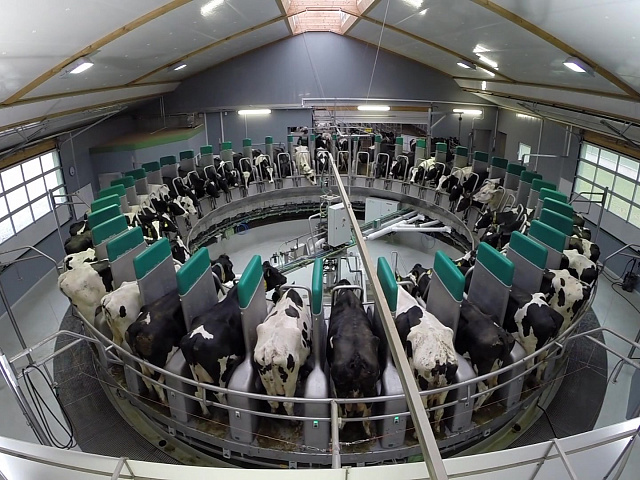 GEA’s DairyProQ